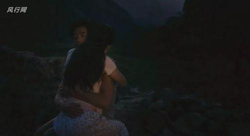 国产大黄片,传承与创新,中医药瑰宝的现代化之路